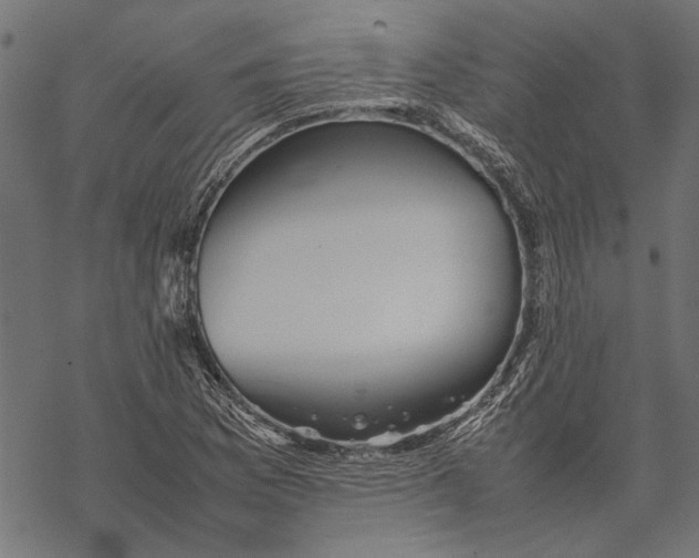 X0000067911169200605041636