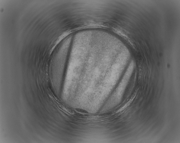 X0000067911170200605041636