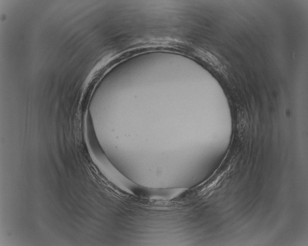 X0000067911172200605041636