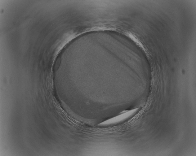 X0000067911173200605041636