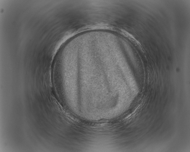 X0000067911174200605041636