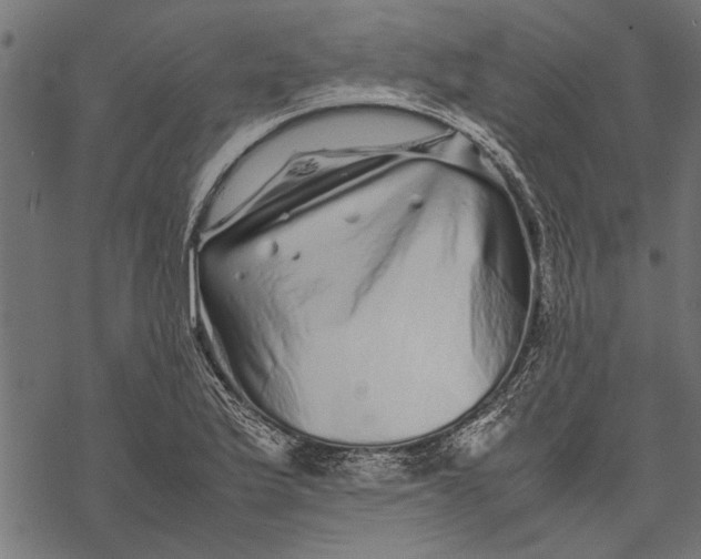 X0000067911175200605041636