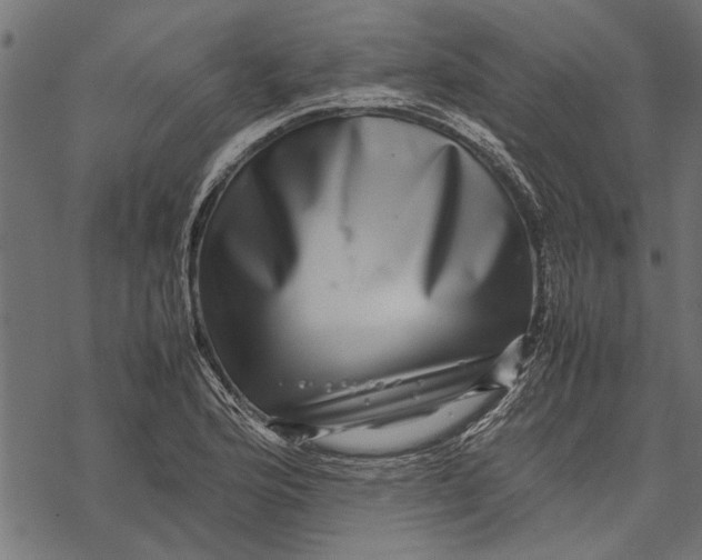 X0000067911176200605041636