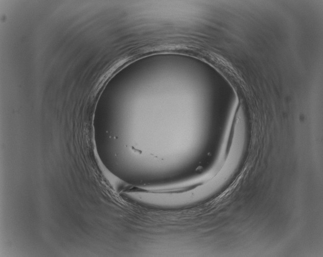 X0000067911177200605041636