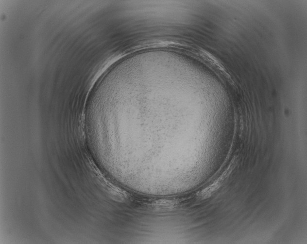 X0000067911178200605041636