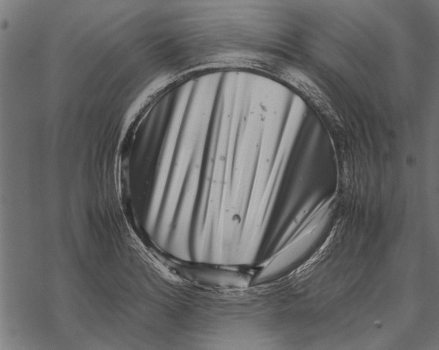 X0000067911180200605041636