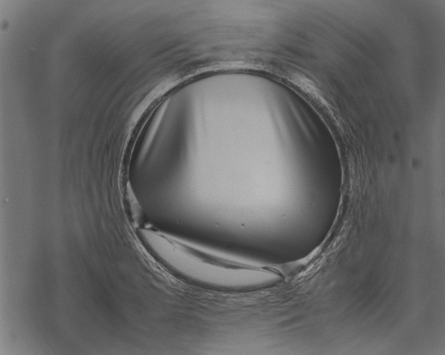 X0000067911181200605041636