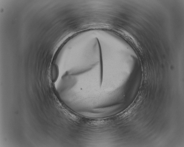 X0000067911182200605041636