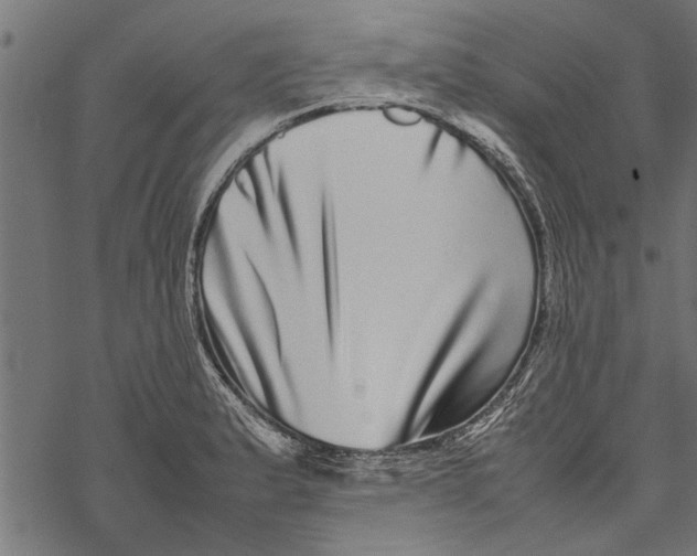 X0000067911183200605041635