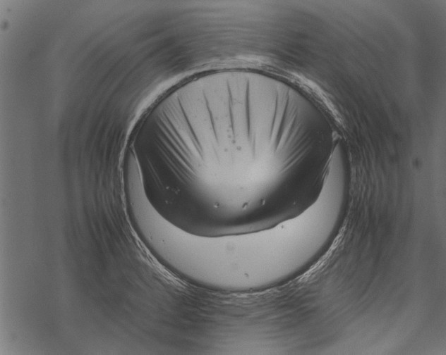 X0000067911184200605041635