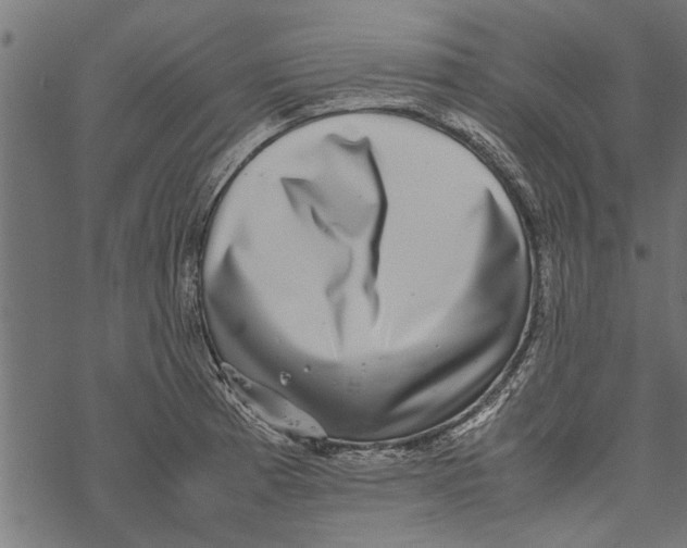 X0000067911185200605041635