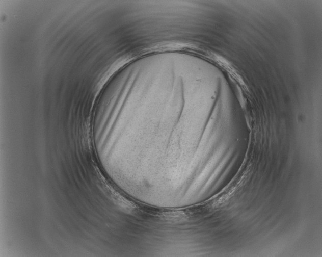 X0000067911186200605041635