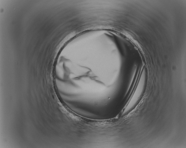 X0000067911189200605041635