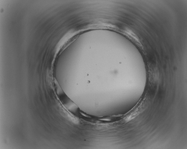 X0000067911192200605041635