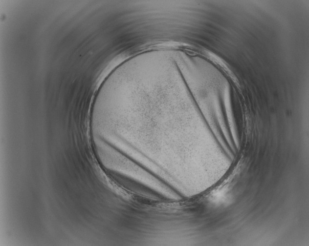 X0000067911194200605041635