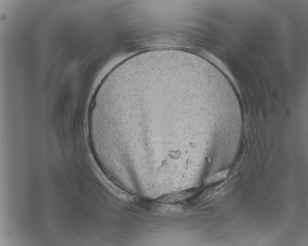 X0000067911195200605041635