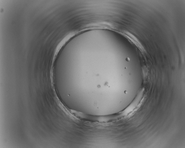 X0000067911196200605041635