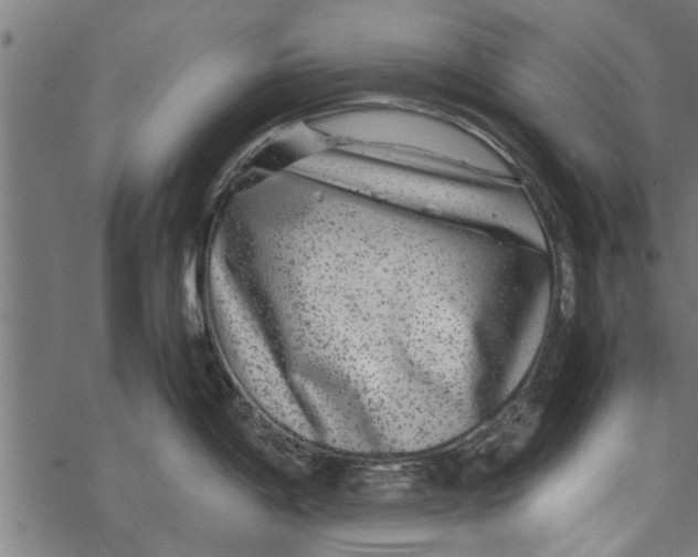 X0000067911198200605041635