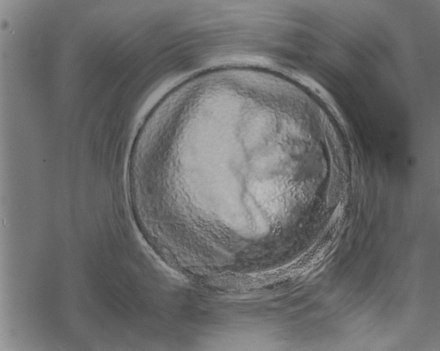 X0000067911199200605041635