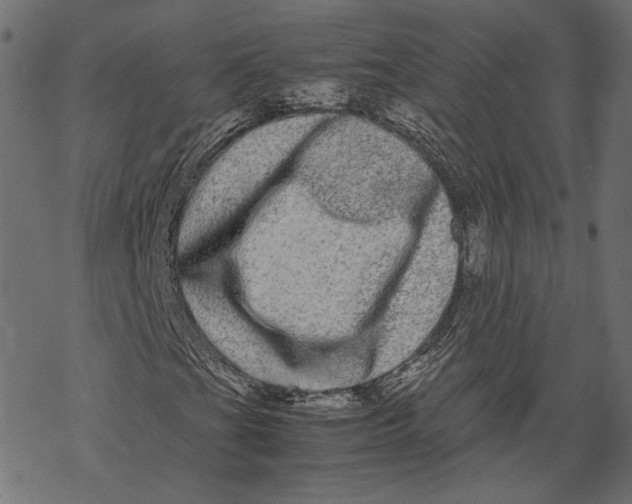 X0000067911201200605041634