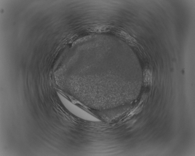 X0000067911202200605041634