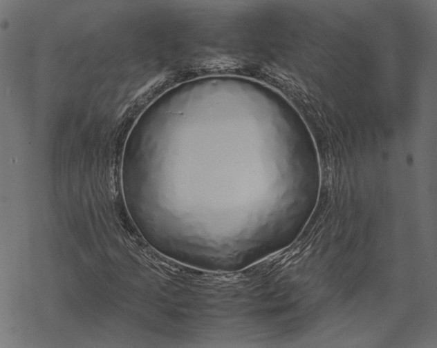 X0000067911205200605041634