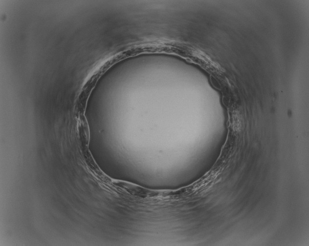 X0000067911208200605041634