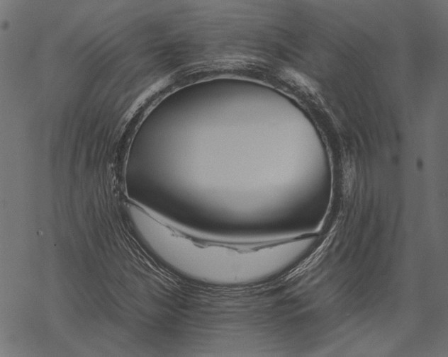 X0000067911210200605041634