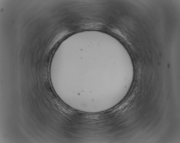 X0000067911211200605041635