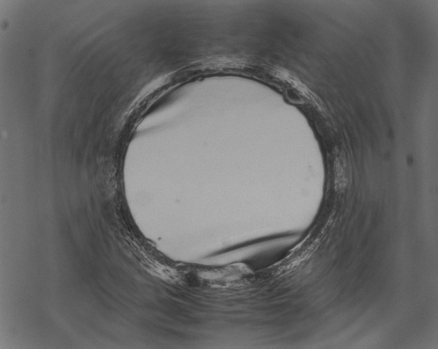 X0000067911213200605041635