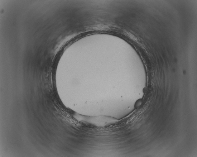 X0000067911214200605041635