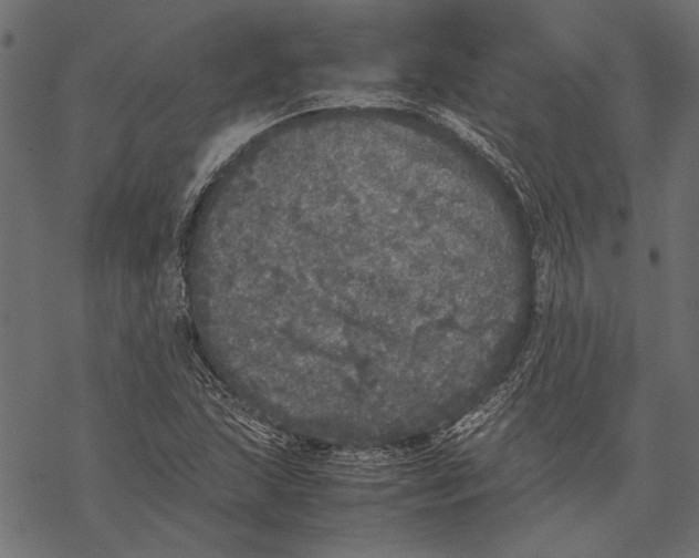 X0000067911215200605041635