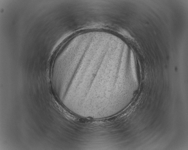 X0000067911216200605041635