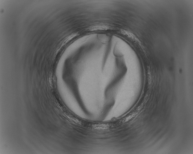 X0000067911217200605041635