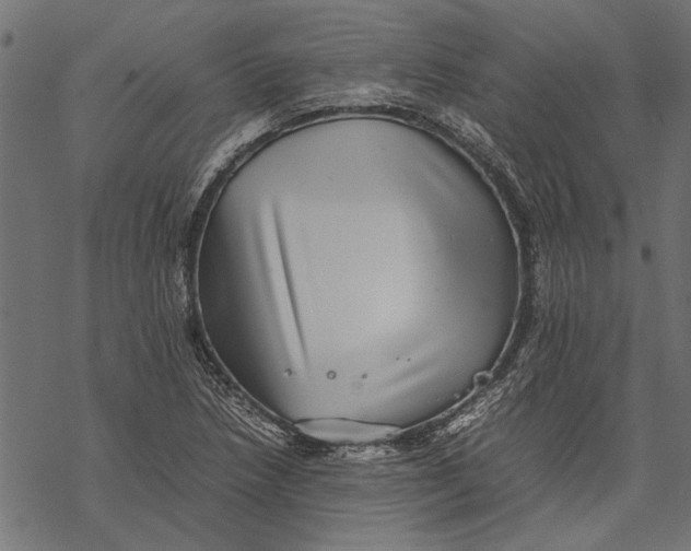 X0000067911218200605041635