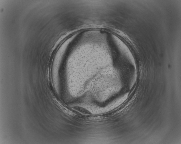 X0000067911220200605041635