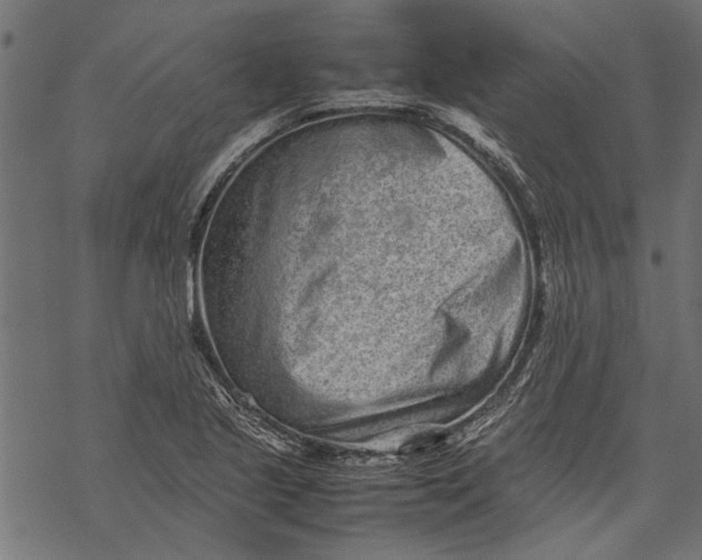 X0000067911221200605041635