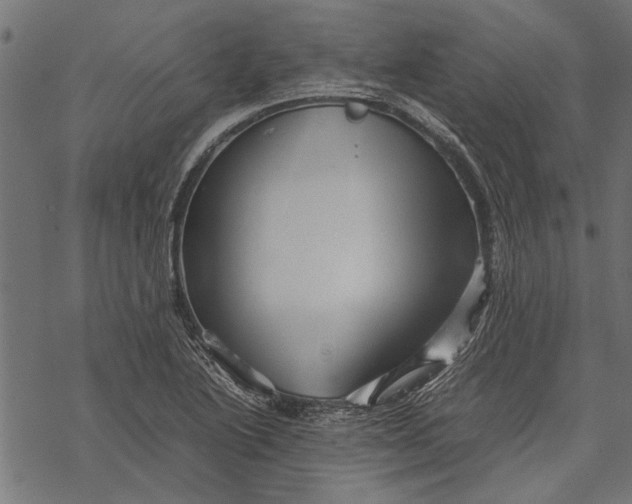 X0000067911222200605041635