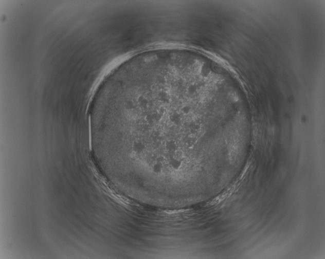 X0000067911223200605041635