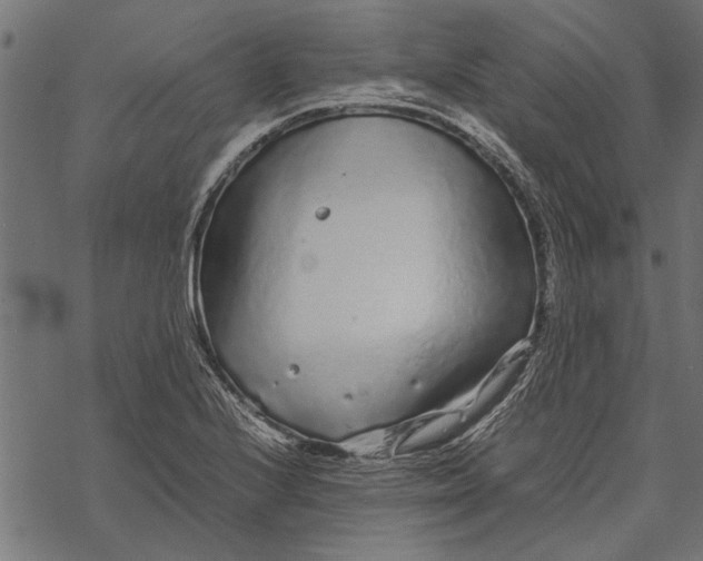 X0000067911224200605041635