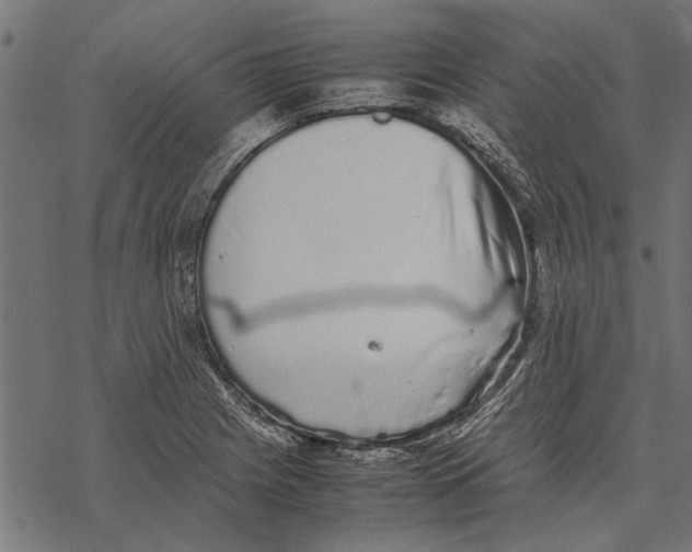 X0000067911225200605041635