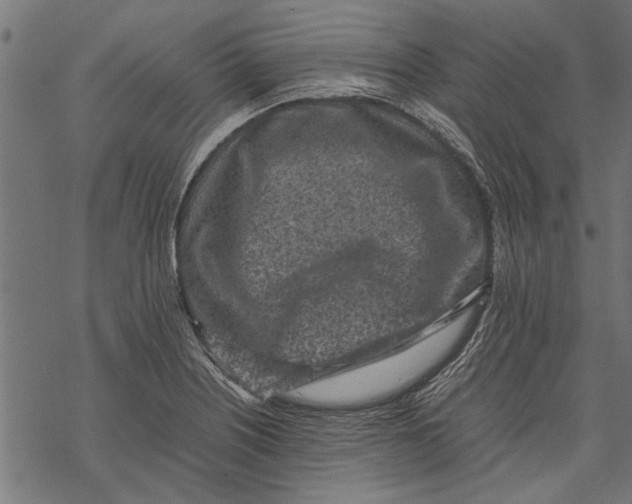 X0000067911226200605041635