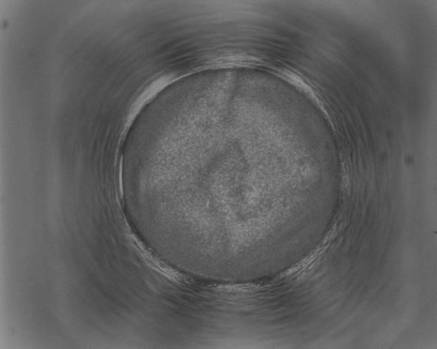 X0000067911227200605041635