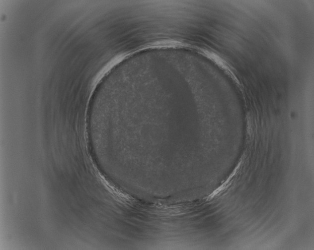 X0000067911229200605041635