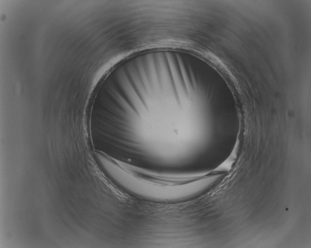 X0000067911230200605041635