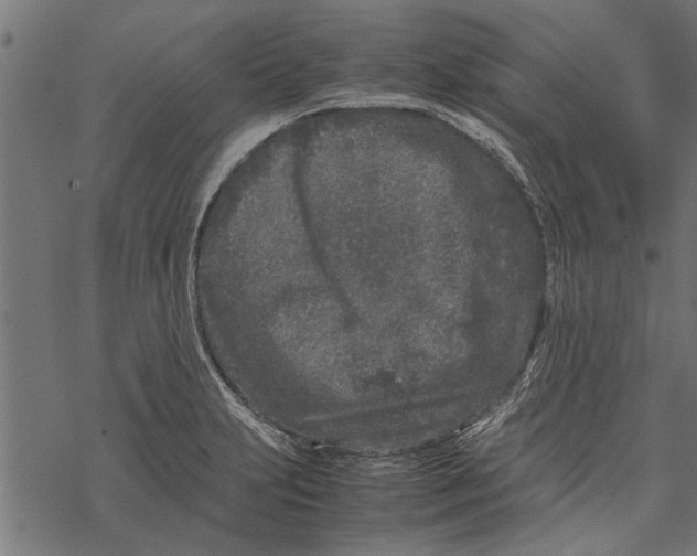 X0000067911231200605041635