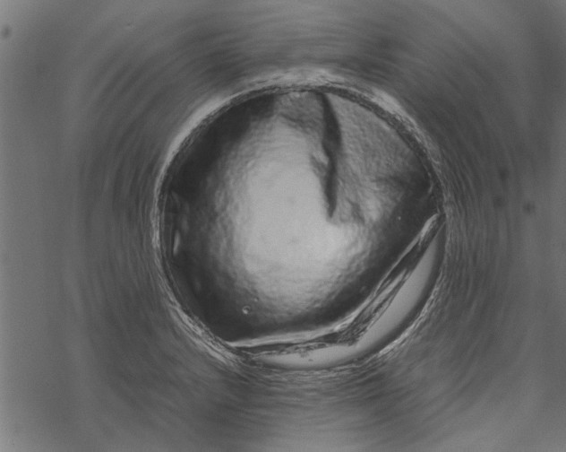 X0000067911232200605041635