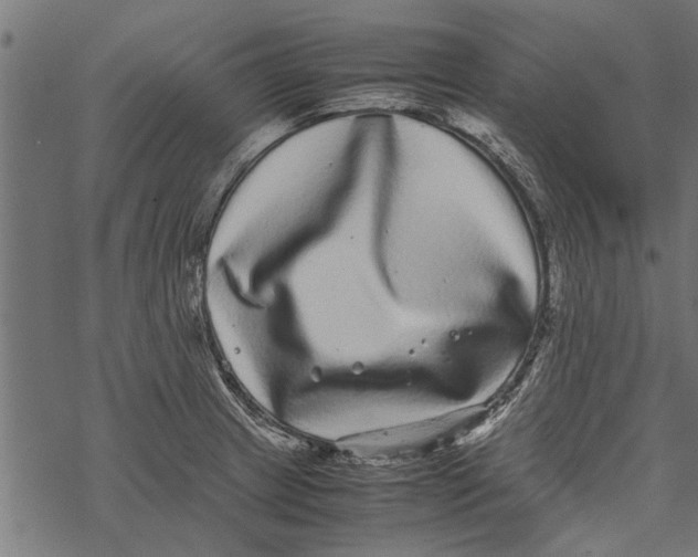 X0000067911233200605041635