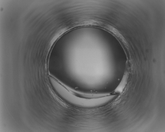 X0000067911234200605041635