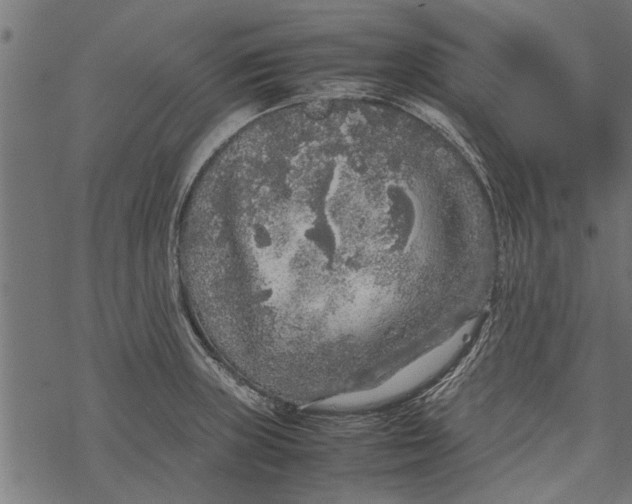 X0000067911235200605041635